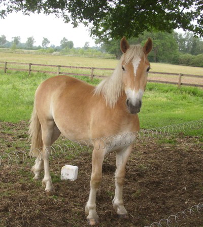 Darling 15 Jahre