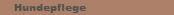 Hundepflege 
