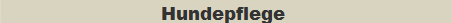 Hundepflege 