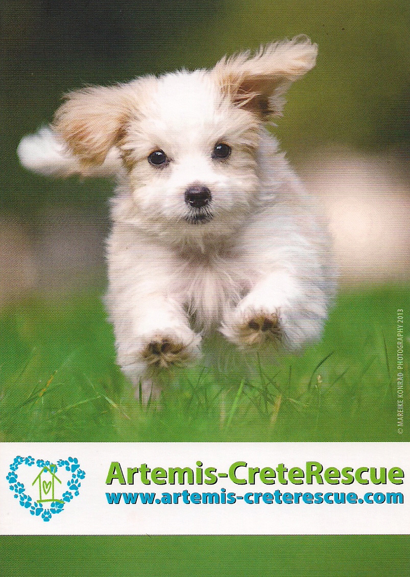 Artemis-CreteRescue
