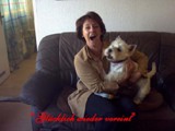 Hundesalon Sanfte-Pfote Galeriebild (62)