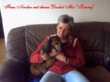 Hundesalon Sanfte-Pfote Galeriebild (67)