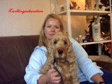 Hundesalon Sanfte-Pfote Galeriebild (70)
