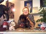Hundesalon Sanfte-Pfote Galeriebild (72)