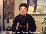 Hundesalon Sanfte-Pfote Galeriebild (77)